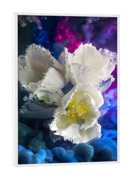 Poster mit weißem Rahmen "Weiße Tulpen" artboxONE - Natur,Floral,Abstrakt