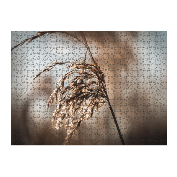 Puzzle Ravensburger "Schilfrohr" artboxONE - Natur,Floral