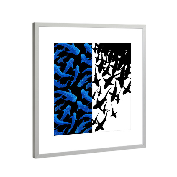Poster mit Rahmen Silber "Double image of sharks" artboxONE - Für Kinder,Tiere