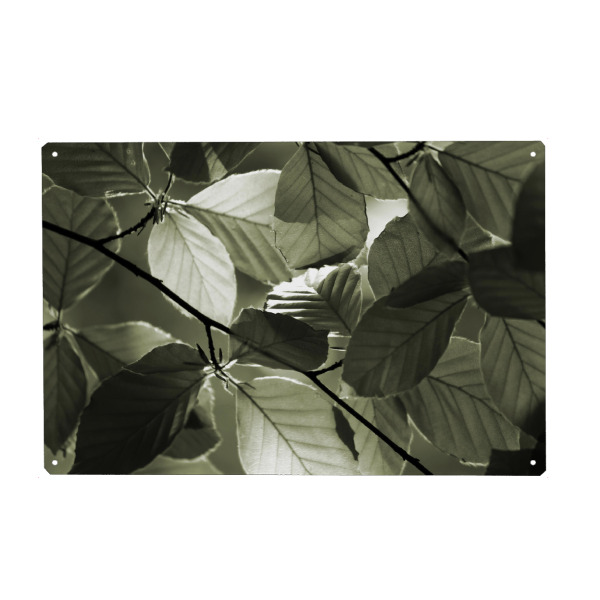 Holzbild "Blatt Detail mit Sonnenlicht" artboxONE - Natur,Reise,Floral,Abstrakt