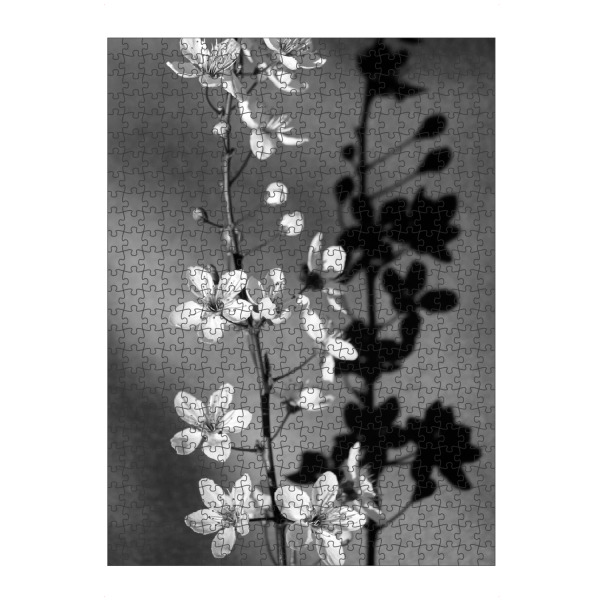 Puzzle Ravensburger "Blüten Stillleben schwarz-weiß" artboxONE - Natur,Floral,Schwarzweiß,Liebe