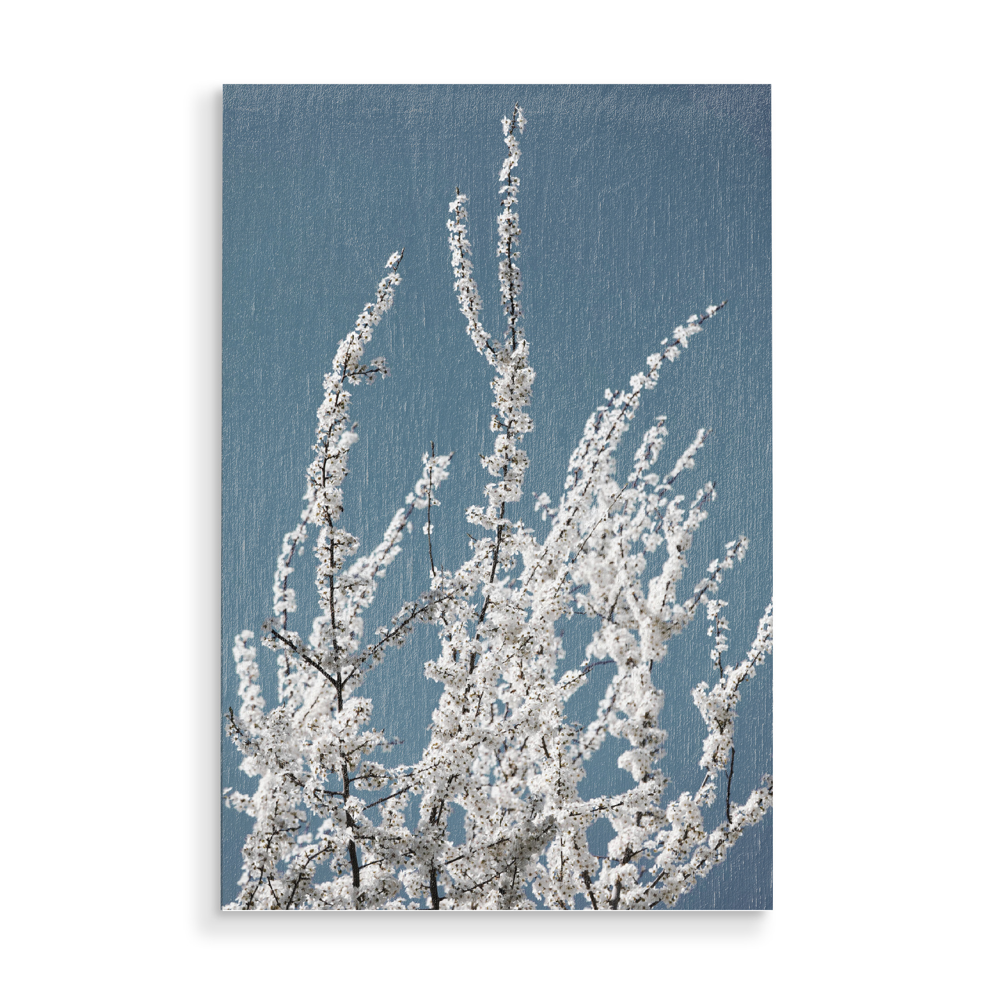 Holzbild "Blütenzweig I Weiß Türkis" artboxONE - Natur,Floral,Abstrakt,Liebe