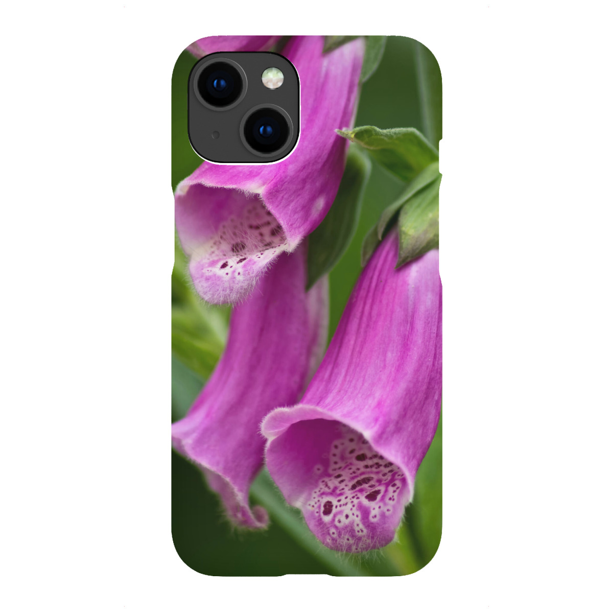 iPhone "Blüten des Roten Fingerhuts" Premium-Case Handyhülle artboxONE