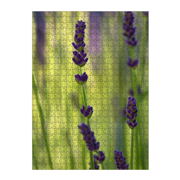 artboxONE Puzzle "Lavendel" artboxONE - Natur,Floral,Abstrakt