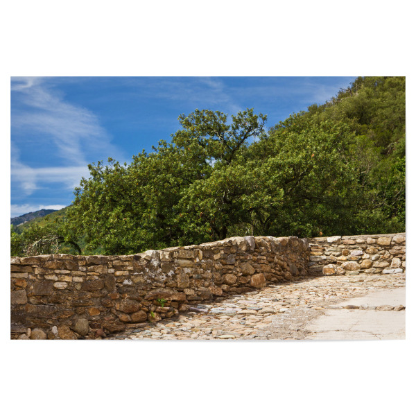 Poster "Steinmauer in Südfrankreich" artboxONE - Natur,Reise,Reise / Länder