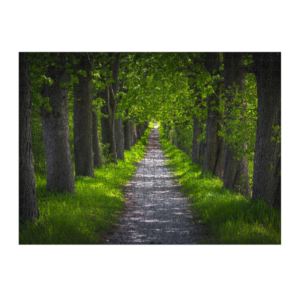 artboxONE Puzzle "Frühlings Allee" artboxONE - Natur