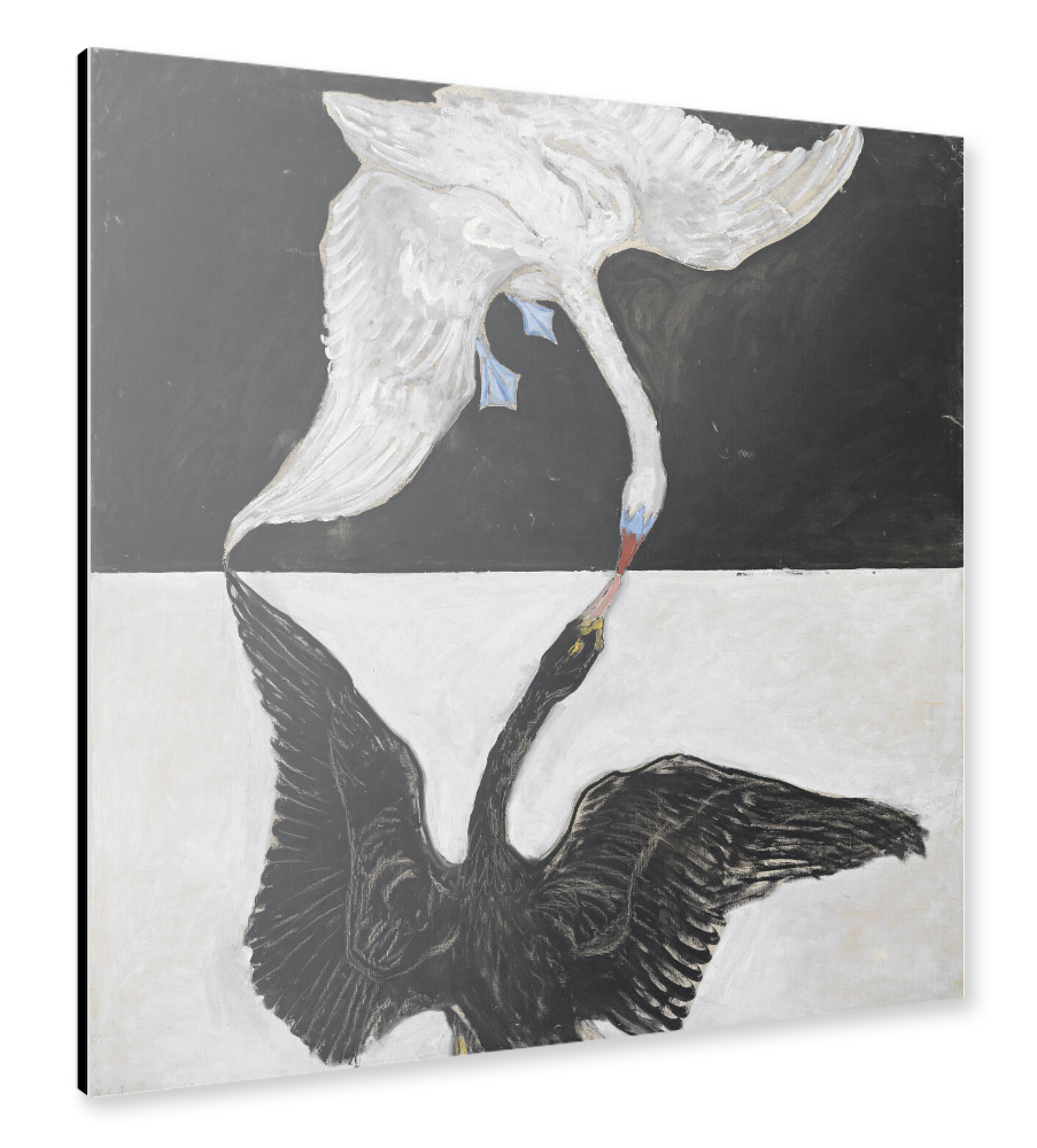 Alu-Dibond "Der Schwan - Hilma af Klint" 30x30 cm artboxONE