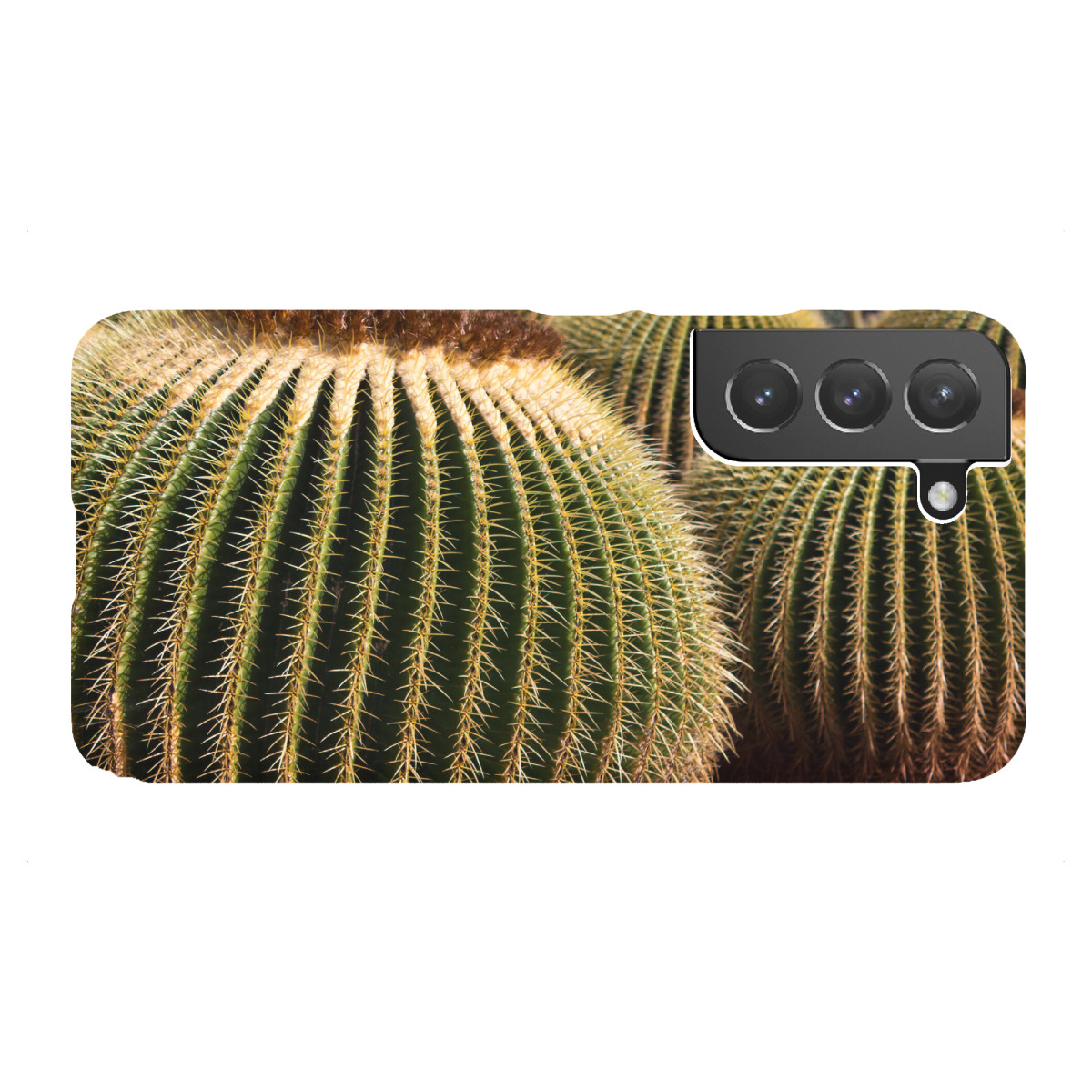 "Goldkugelkakteen"für Samsung Galaxy - Premium-Case Handyhülle artboxONE