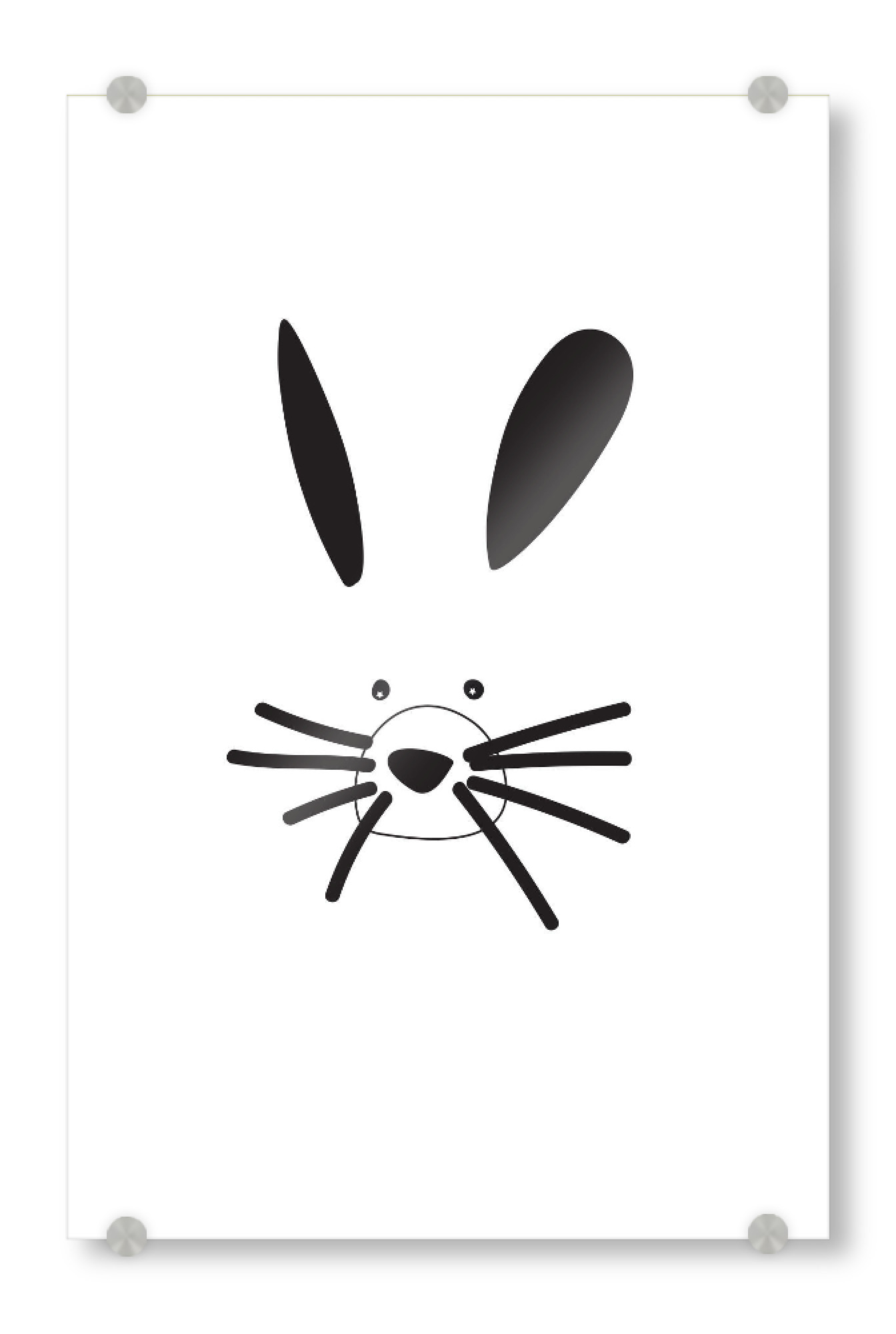Acrylglasbild "Hase Tierportrait schwarzweiß" artboxONE - Tiere,Schwarzweiß