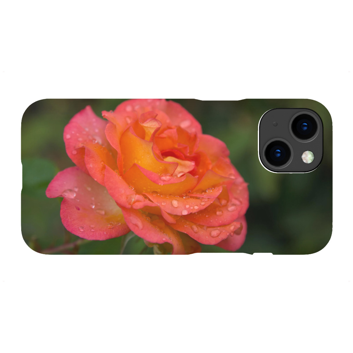 "Rose in orange mit Tropfen"für iPhone - Premium-Case Handyhülle artboxONE