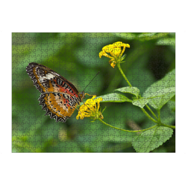 Puzzle Ravensburger "Bortenfalter" artboxONE - Natur,Floral,Tiere