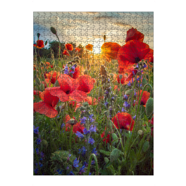 Puzzle Ravensburger "Mohn im Licht" artboxONE - Natur,Floral