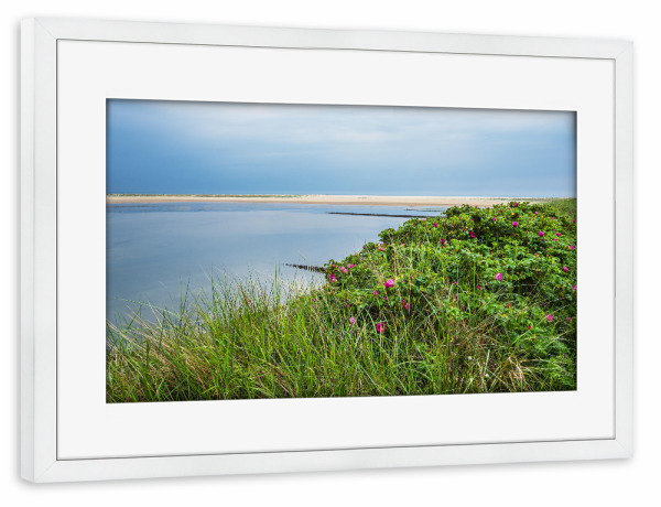Poster mit Rahmen weiß "Strand mit Kartoffelrosen" artboxONE - Natur,Reise,Reise / Strand und Meer