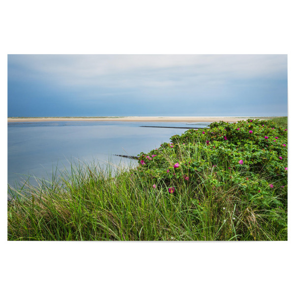 Poster "Strand mit Kartoffelrosen" artboxONE - Natur,Reise,Reise / Strand und Meer
