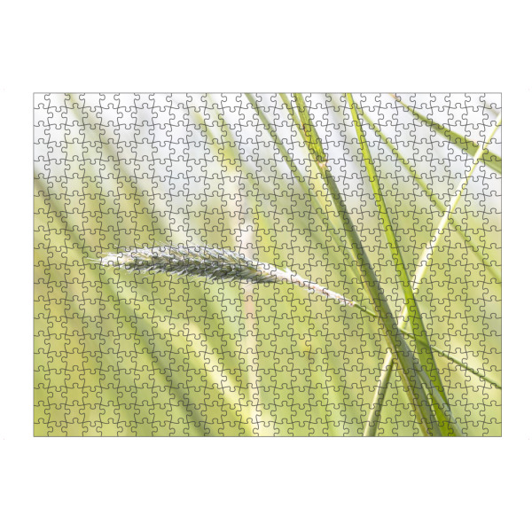 Puzzle Ravensburger "Noch mehr Grün" artboxONE - Natur - Wiese,Acker,Gräser,Grün,Natur,Nature - Bild wiese