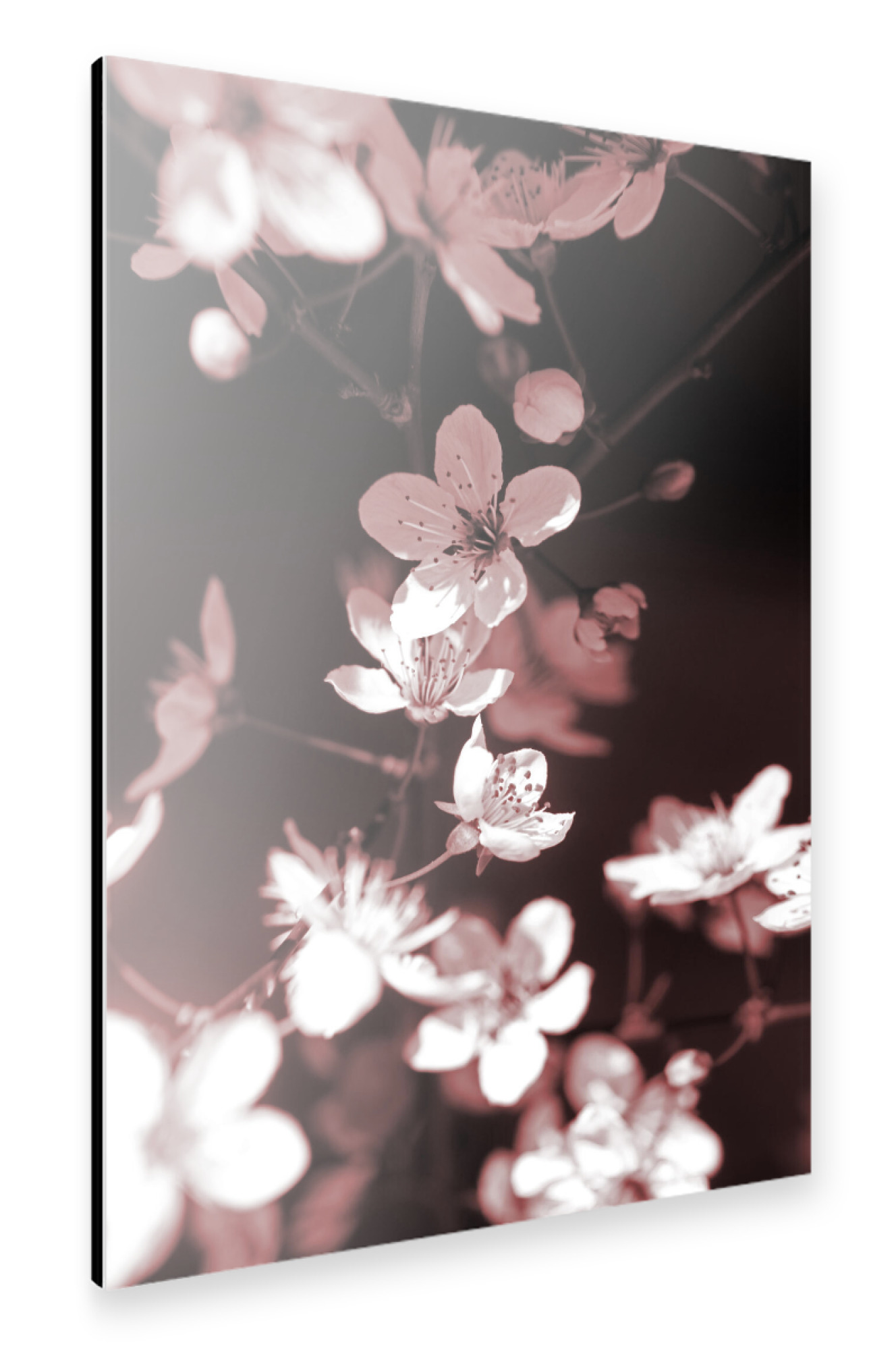 Alu-Dibond "Frühlingsblüte Stillleben" 30x20 cm artboxONE
