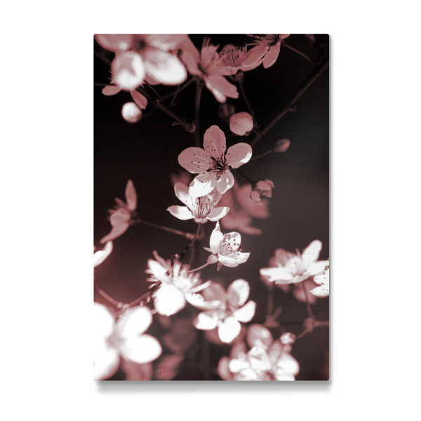 Galerie-Print "Frühlingsblüte Stillleben" 30x20 cm artboxONE