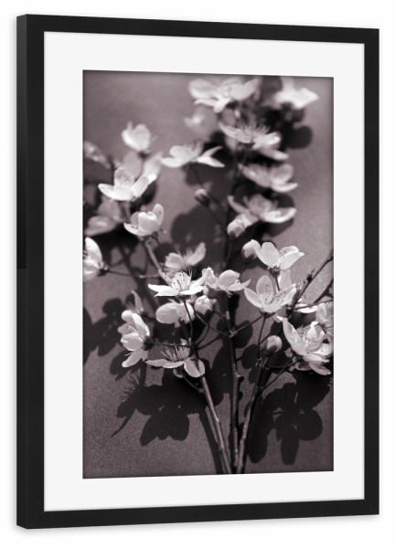 Poster mit Rahmen schwarz "Weiße Blüten Nostalgie" artboxONE - Natur,Floral,Abstrakt,Schwarzweiß,Liebe