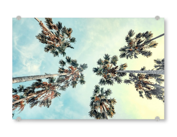 Acrylglasbild "Palm trees" artboxONE - Natur,Reise,Reise / Strand und Meer,Reise / Asien,Reise / Länder