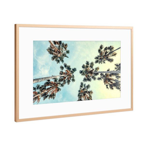 Poster mit Rahmen Kupfer "Palm trees" artboxONE - Natur,Reise,Reise / Strand und Meer,Reise / Asien,Reise / Länder