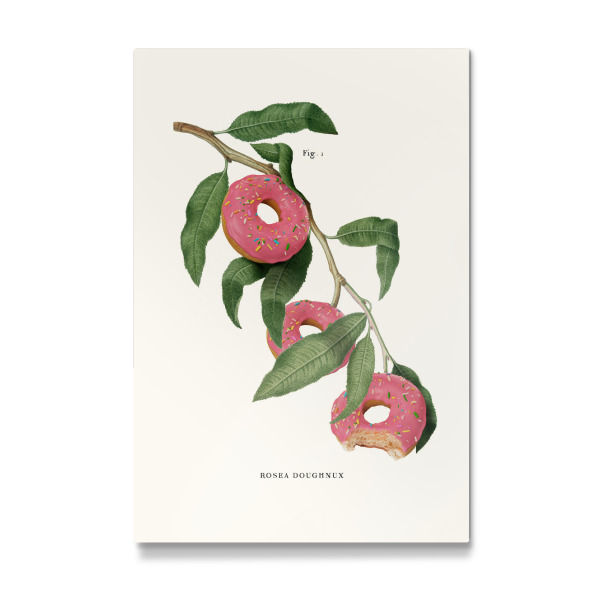 Galerie-Print "Donut Plant" 30x20 cm artboxONE