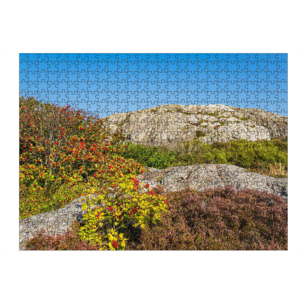 artboxONE Puzzle "Heidekraut und Vogelbeeren" artboxONE - Natur,Reise,Reise / Länder