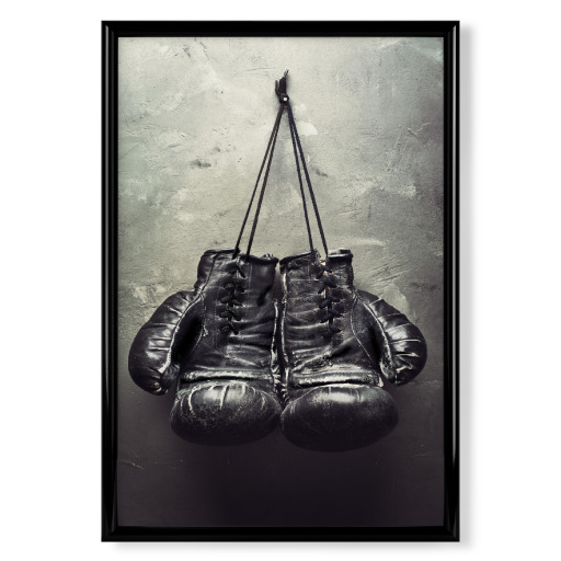 Boxhandschuhe
