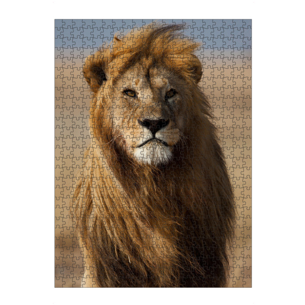 artboxONE Puzzle "Majestätischer Löwe" artboxONE - Natur,Tiere - Lion,Löwe,Tier,Animal,Natur,Nature,Portrait,King,König - Bild lion