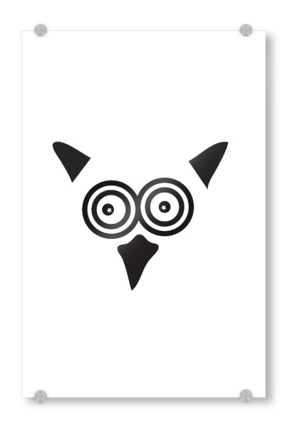 Acrylglasbild "Eule Tierportrait schwarzweiß" artboxONE - Tiere