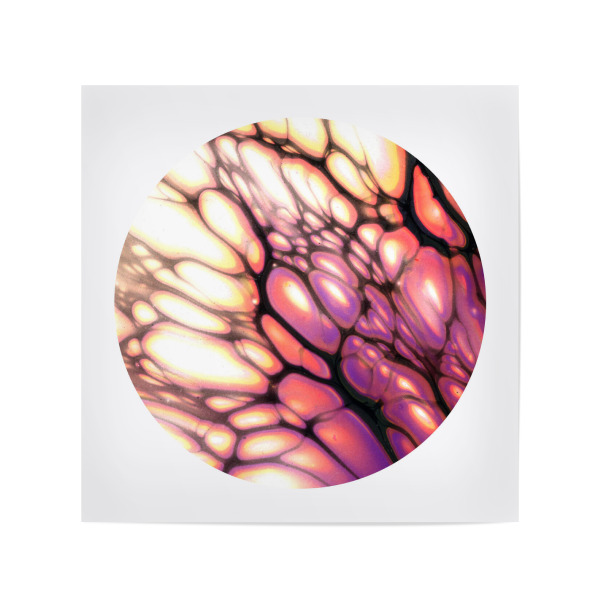 Poster 20x20 cm "Light purple - Cells" artboxONE - Abstrakt