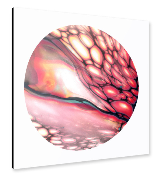 Alu-Dibond "The red Cells - wings" 30x30 cm artboxONE