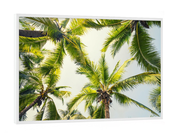 Poster mit weißem Rahmen "Tropical vibe" artboxONE - Natur,Reise,Reise / Strand und Meer,Reise / Asien,Reise / Länder