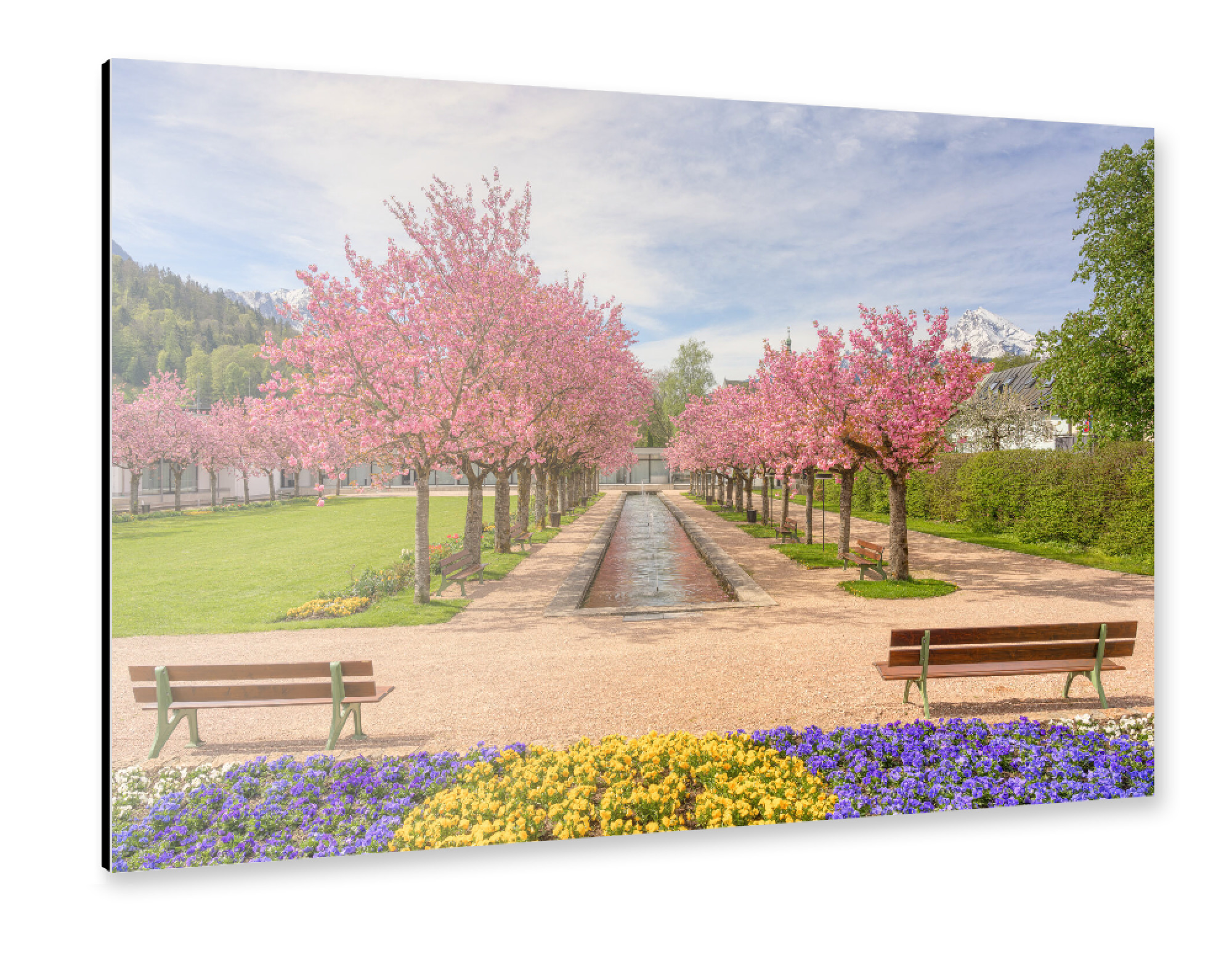 Alu-Dibond "Kirschblüte Berchtesgaden" 75x50 cm artboxONE