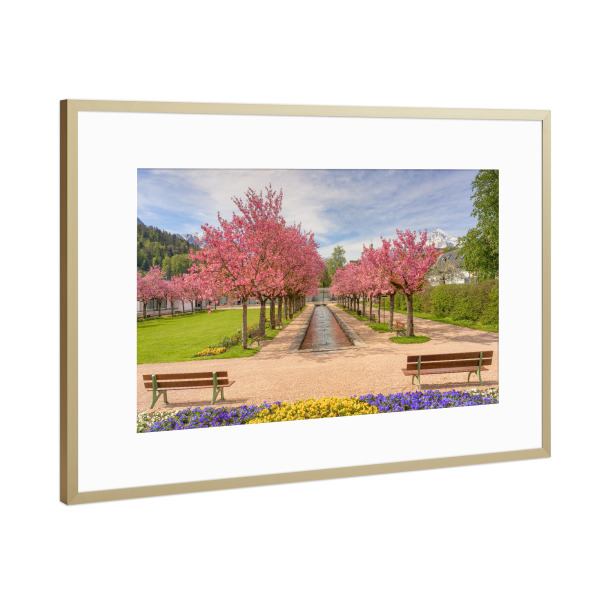 Poster mit Rahmen Gold "Kirschblüte Berchtesgaden" artboxONE - Städte,Natur,Reise