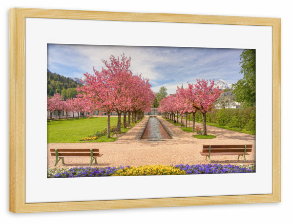 Poster mit Rahmen kiefer "Kirschblüte Berchtesgaden" artboxONE - Städte,Natur,Reise