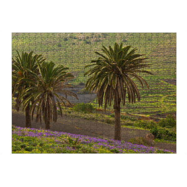 Puzzle Ravensburger "Palmen bei Haria auf Lanzarote" artboxONE - Natur,Reise,Reise / Länder