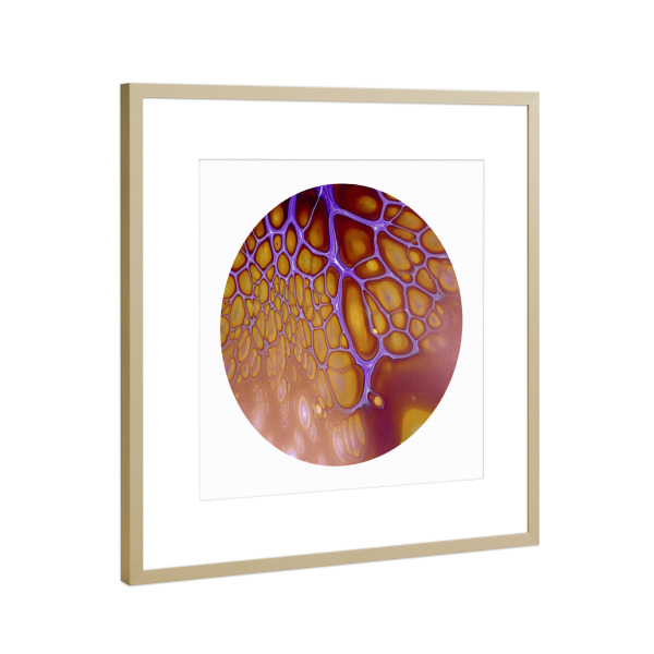 Poster mit Rahmen Gold "Lila Lacing - Cells" artboxONE - Abstrakt
