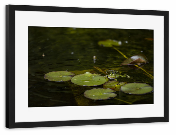 Poster mit Rahmen schwarz "Bath Time" artboxONE - Natur,Floral,Für Kinder,Tiere,Für Papa