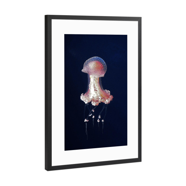 Poster mit Rahmen Schwarz (Metallic) "Quallen Ballerina" artboxONE - Natur,Tiere,Reise / Strand und Meer,Unterwasser