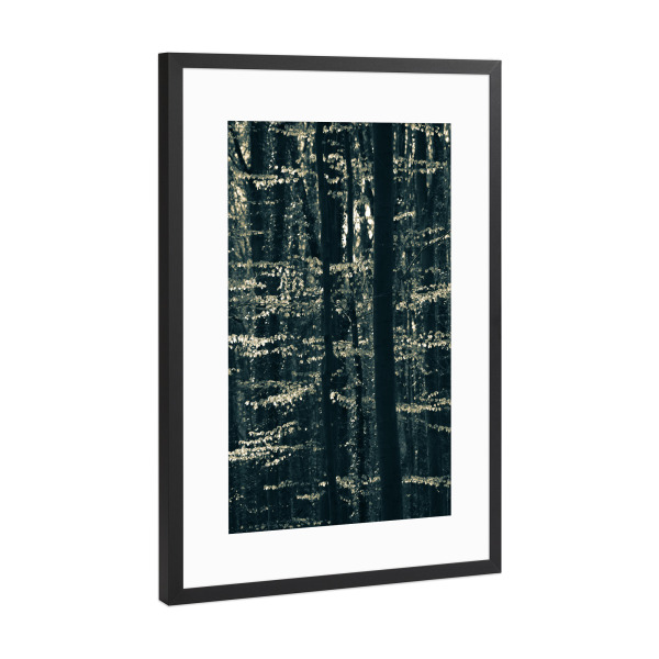 Poster mit Rahmen Schwarz (Metallic) "Buchenwald" artboxONE - Natur