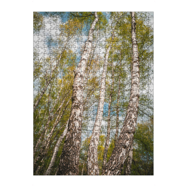 artboxONE Puzzle "Birken" artboxONE - Natur