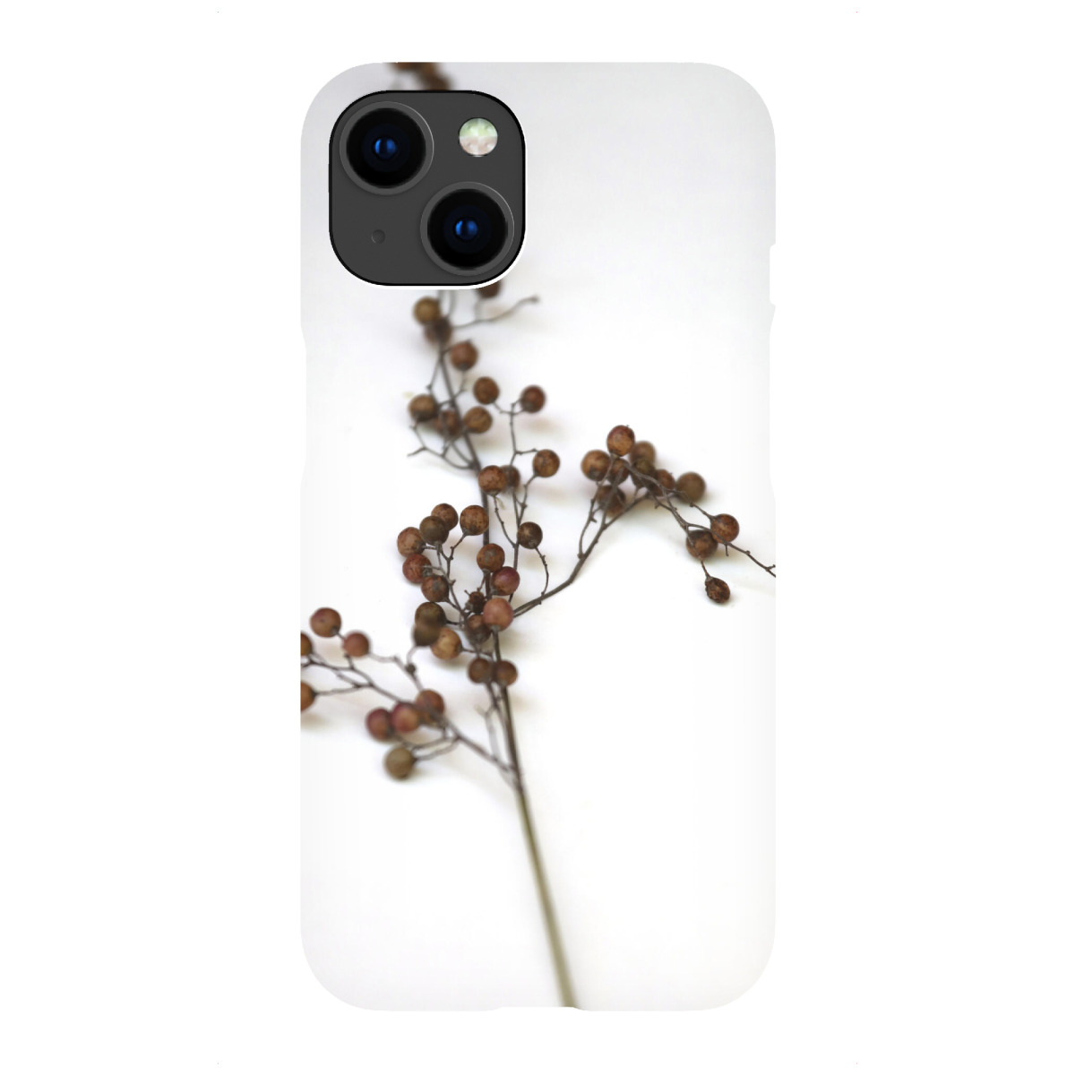 "Zweig und Samenkapsel I Naturtöne"für iPhone - Premium-Case Handyhülle artboxONE