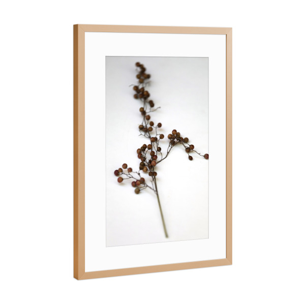 Poster mit Rahmen Kupfer "Zweig und Samenkapsel I Naturtöne" artboxONE - Natur,Floral,Schwarzweiß