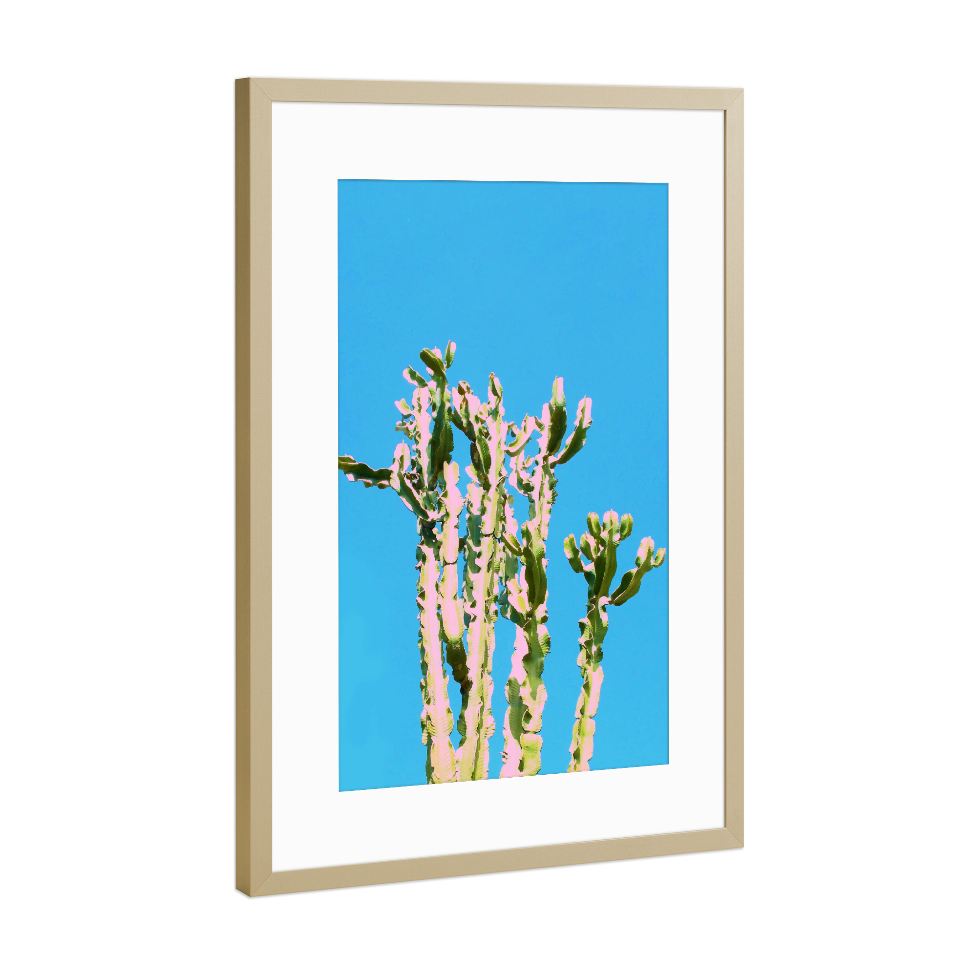 Poster mit Rahmen Gold "Cactus Beauty" artboxONE - Natur