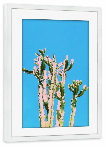 Poster mit Rahmen weiß "Cactus Beauty" artboxONE - Natur