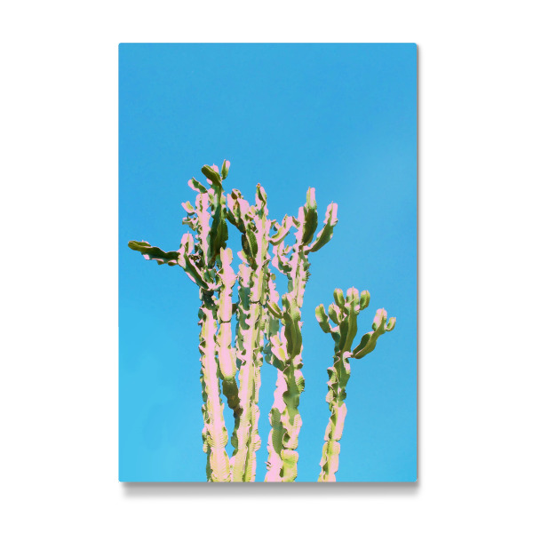 Galerie-Print "Cactus Beauty" 30x20 cm artboxONE