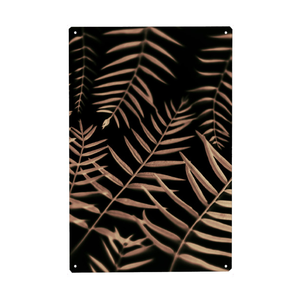 Metall Poster "Minimalistische Botanik" artboxONE - Natur,Floral