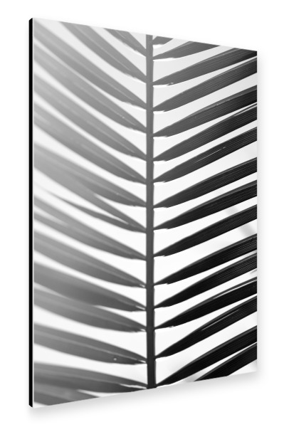 Alu-Dibond "Palmenblatt Symetrie" 30x20 cm artboxONE