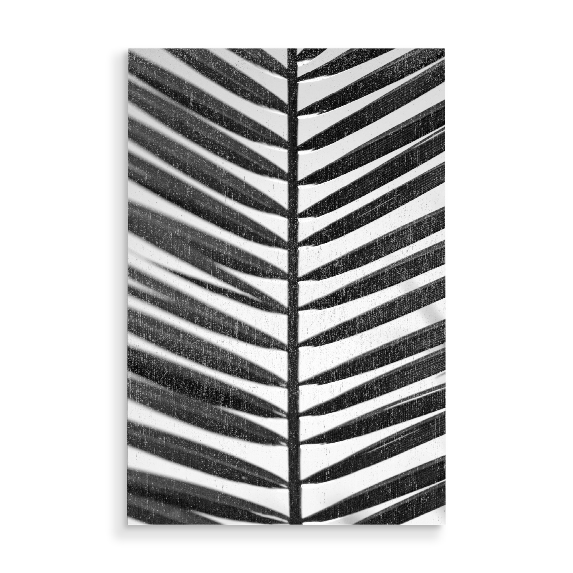 Holzbild "Palmenblatt Symetrie" artboxONE - Natur,Floral,Abstrakt,Schwarzweiß,Geometrie