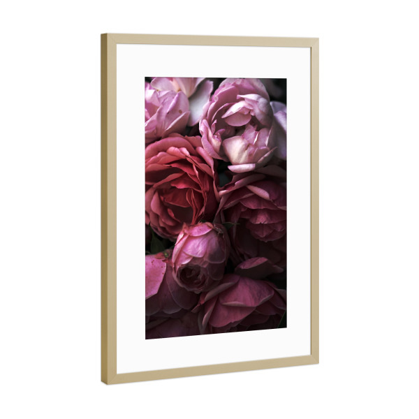 Poster mit Rahmen Gold "Rosen Nostalgie" artboxONE - Natur,Floral,Liebe,Für Mama